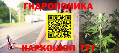 прущие грибы Изобильный