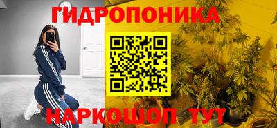 прущие грибы Изобильный