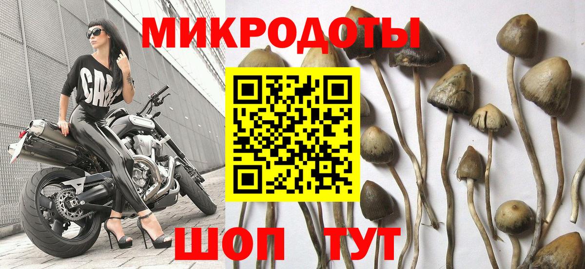 Клинцы  Галлюциногенные грибы MAGIC MUSHROOMS  Вход с VPN 