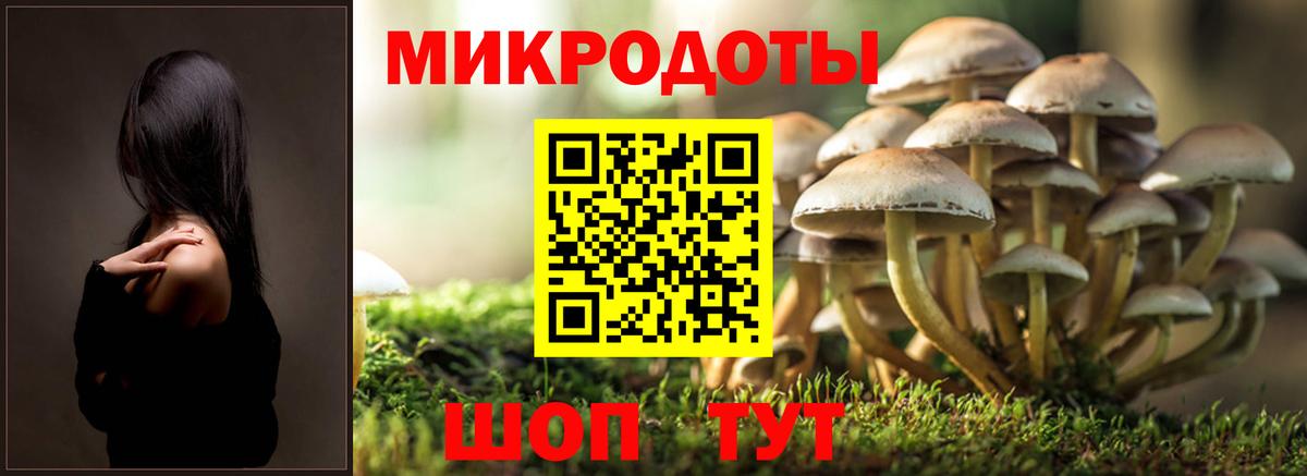 Галлюциногенные грибы мицелий Клинцы